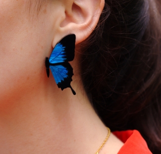 boucles d'oreilles morpho 1